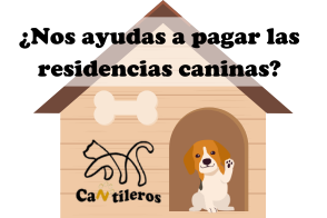 Residencias Caninas